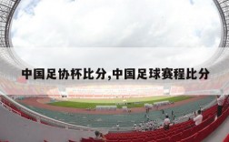 中国足协杯比分,中国足球赛程比分